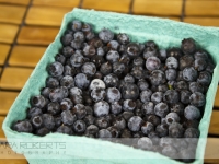 Blueberry Super Food